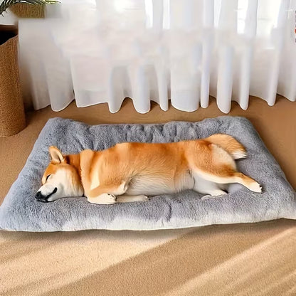 2 Piece Pet Plush Cushion Bed Set